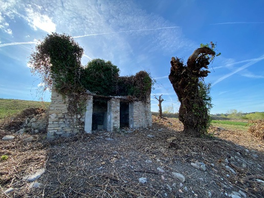 immagine annuncio 6 di 9