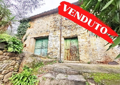 Foto Rustico in panicale basso, Buti Centro di 300 m² con 9 locali