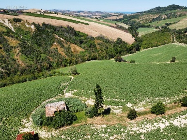 Foto Rustico in CONTRADA FONTERRANTE, Monterubbiano di 240 m² con 6 locali
