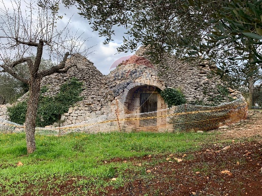 immagine annuncio 5 di 11