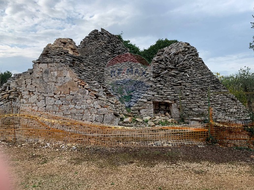 immagine annuncio 9 di 11