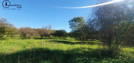 immagine annuncio 4 di 7