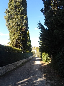 Foto Rustico in Contrada Colle Sant'Angelo, Monteprandone di 250 m²