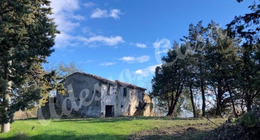 Foto Rustico in -, Meldola Centro di 300 m² in vendita