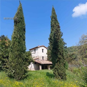 Foto Rustico in -, Montone Centro di 330 m² con 20 locali in vendita