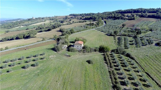 immagine annuncio 2 di 8