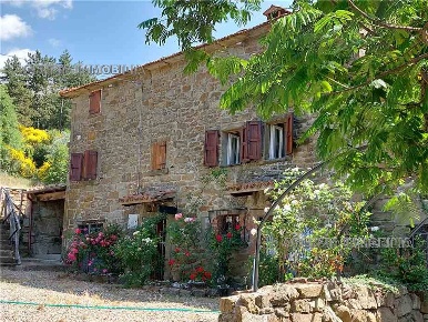 Foto Rustico in -, Arezzo Santa Maria alla Rassinata di 250 m² con 8 locali