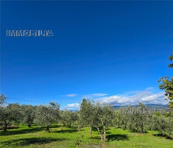 Foto Rustico in -, Arezzo Tregozzano di 450 m² con 15 locali in vendita