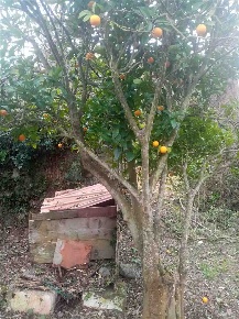 Foto Rustico in -, Rio di 60 m² in vendita