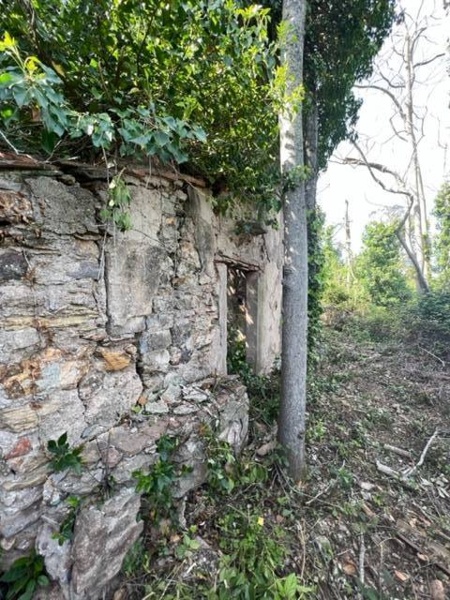 immagine annuncio 7 di 9