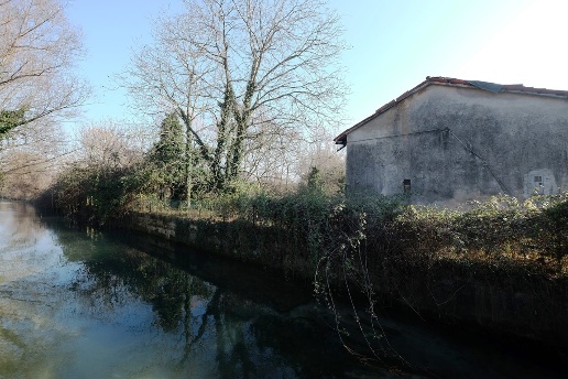 immagine annuncio 4 di 13