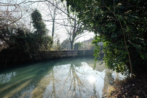 immagine annuncio 5 di 13