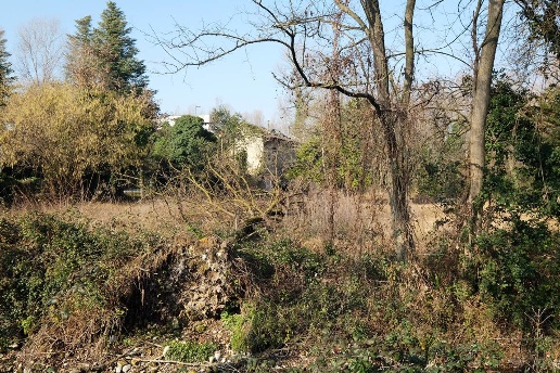 immagine annuncio 6 di 13