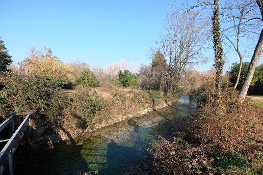 immagine annuncio 7 di 13