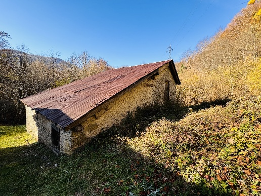 immagine annuncio 3 di 8