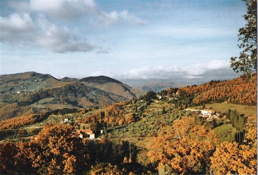 immagine annuncio 6 di 9