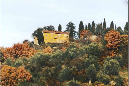 immagine annuncio 7 di 9