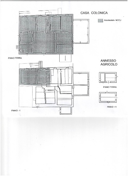 immagine annuncio 8 di 9