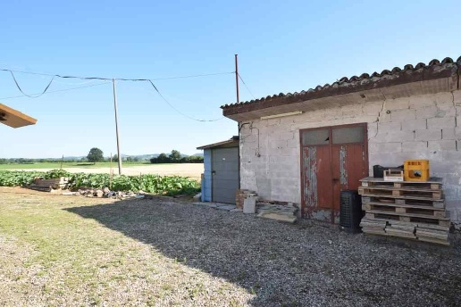 immagine annuncio 9 di 13