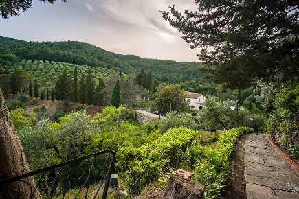 Foto Rustico a Collesalvetti di 370 m² con 12 locali in vendita