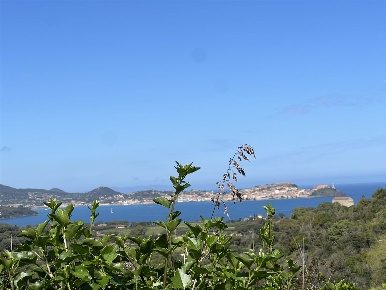 Foto Rustico a Portoferraio di 375 m² con 18 locali in vendita