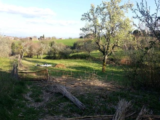 immagine annuncio 7 di 11