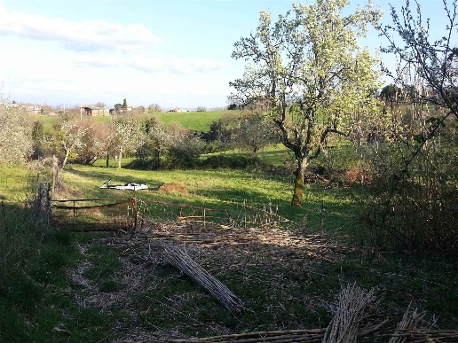 immagine annuncio 9 di 11