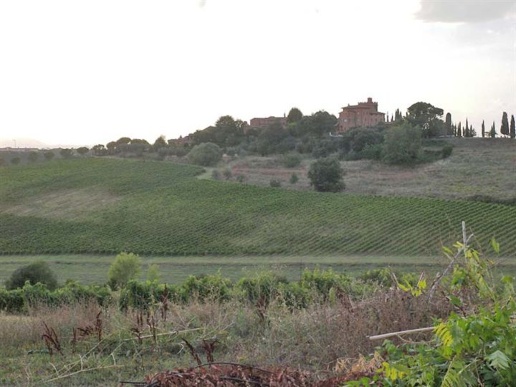 immagine annuncio 7 di 8