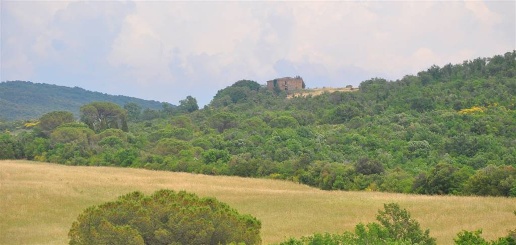 Foto Rustico a Volterra di 700 m² con 25 locali in vendita