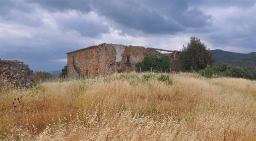 immagine annuncio 7 di 14