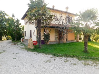 Foto Rustico a Massa Marittima di 390 m² con 13 locali in vendita
