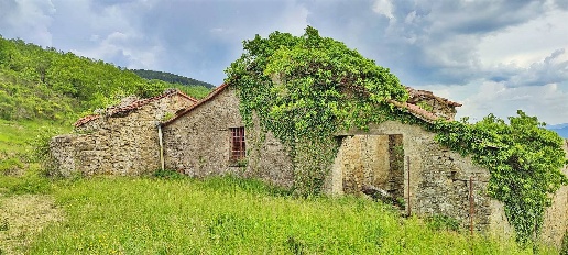 immagine annuncio 6 di 9