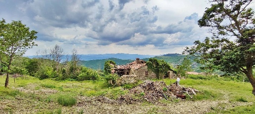 immagine annuncio 7 di 9