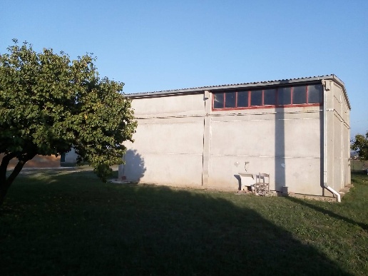 immagine annuncio 3 di 8