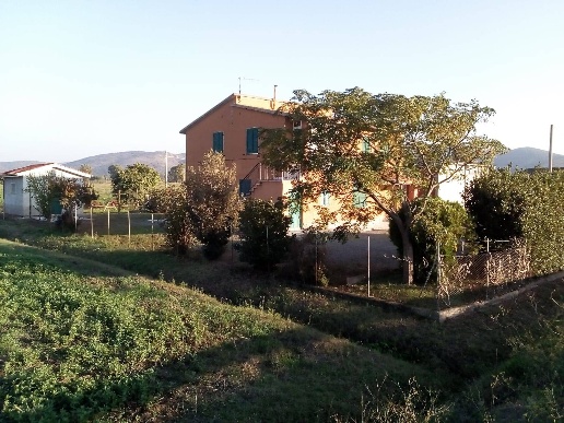 immagine annuncio 7 di 8
