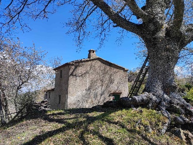 Foto Rustico in Località Poggiolo, Seggiano di 124 m² con 6 locali