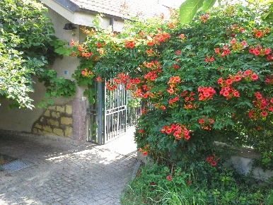 Foto Rustico in REGIONE MANDOLETTA, Casale Monferrato San Germano di 220 m²