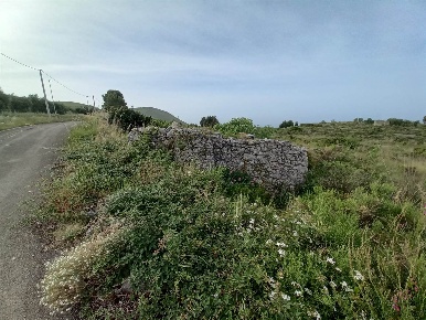 Foto Rustico in STRADA LE VIGNOLE, Gaeta di 30 m² con 1 locali in vendita