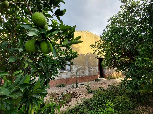 immagine annuncio 10 di 11