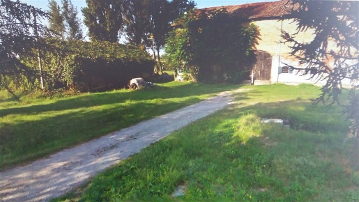 Foto Rustico a Campogalliano di 750 m² con 18 locali in vendita