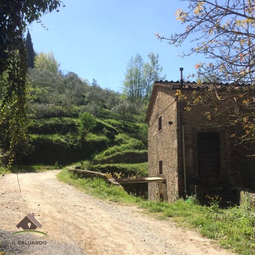 immagine annuncio 3 di 6