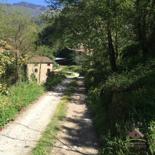 immagine annuncio 5 di 6