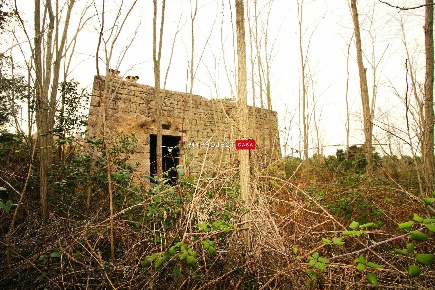 Foto Rustico in Strada la Grotta, Martina Franca di 35 m² con 1 locali