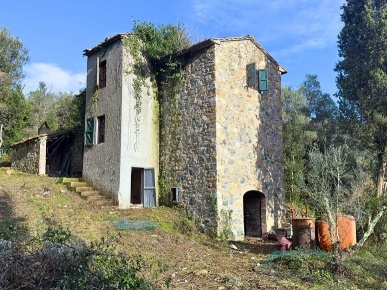 Foto Rustico a Riparbella di 230 m² con 8 locali in vendita