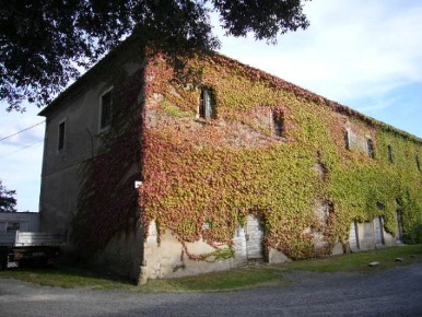 Foto Rustico a Rosignano Marittimo Vada di 320 m² con 4 locali in vendita