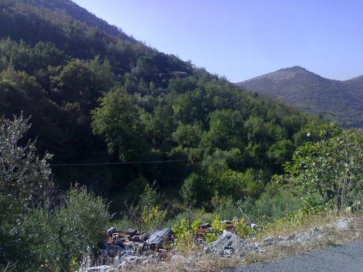 immagine annuncio 3 di 7