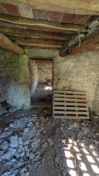 immagine annuncio 5 di 14