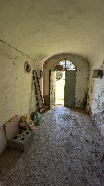 immagine annuncio 6 di 14