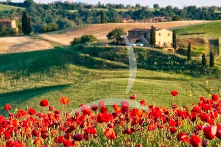 Foto Rustico a Cortona Centro di 357 m² con 10 locali in vendita