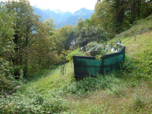 immagine annuncio 6 di 15